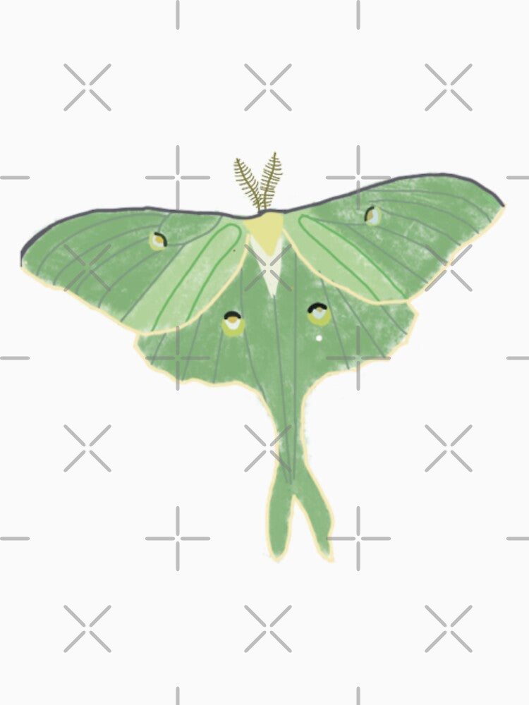 Lunar moth drawing by BlueFireFerrets