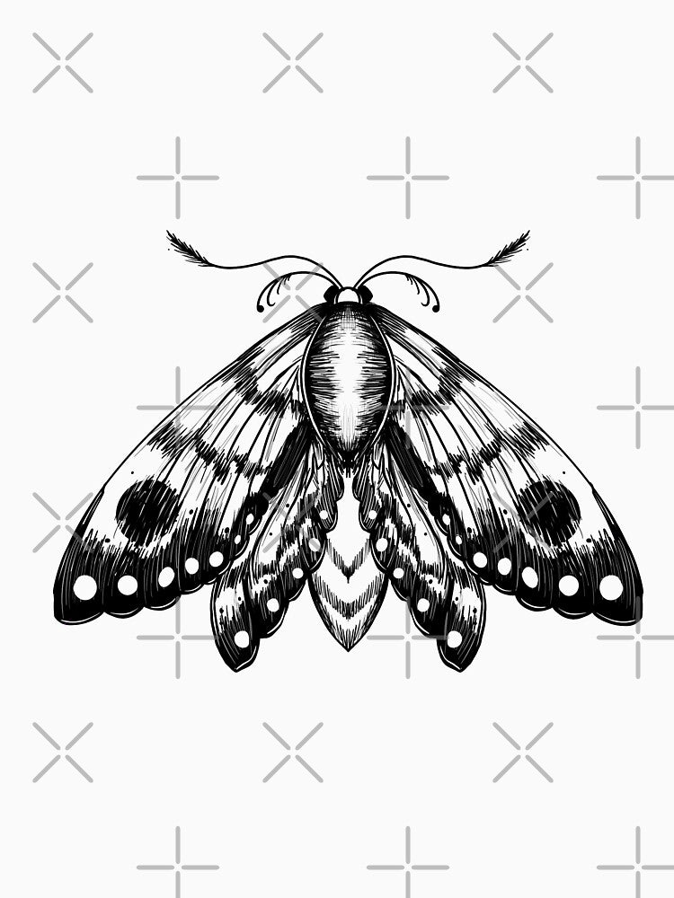 Moth Sketch by AnneCatriona