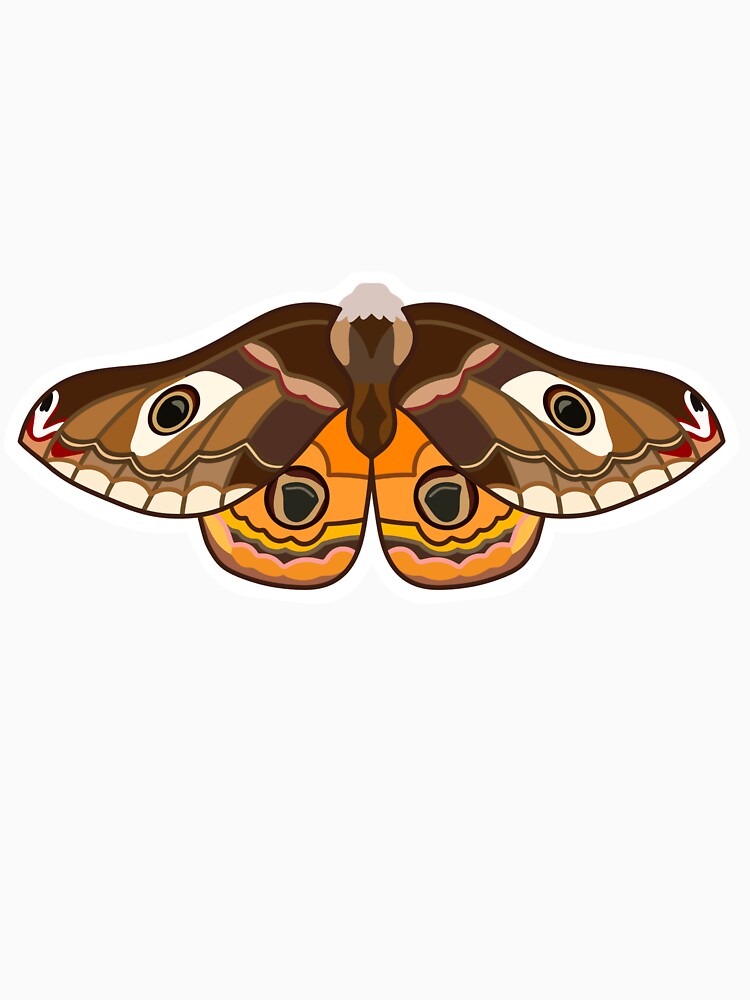 Small Emperor Moth by esther-hartopp