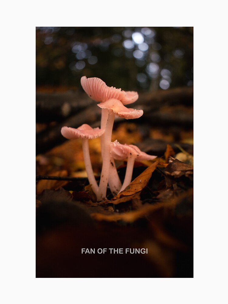 Fan of the fungi mushroom aesthetic photograph by ModernAndFunky