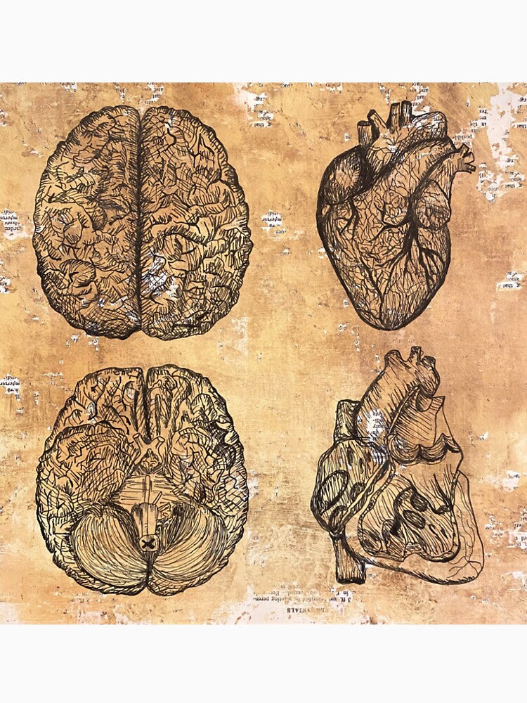 vintage anatomy by ThisisErosion