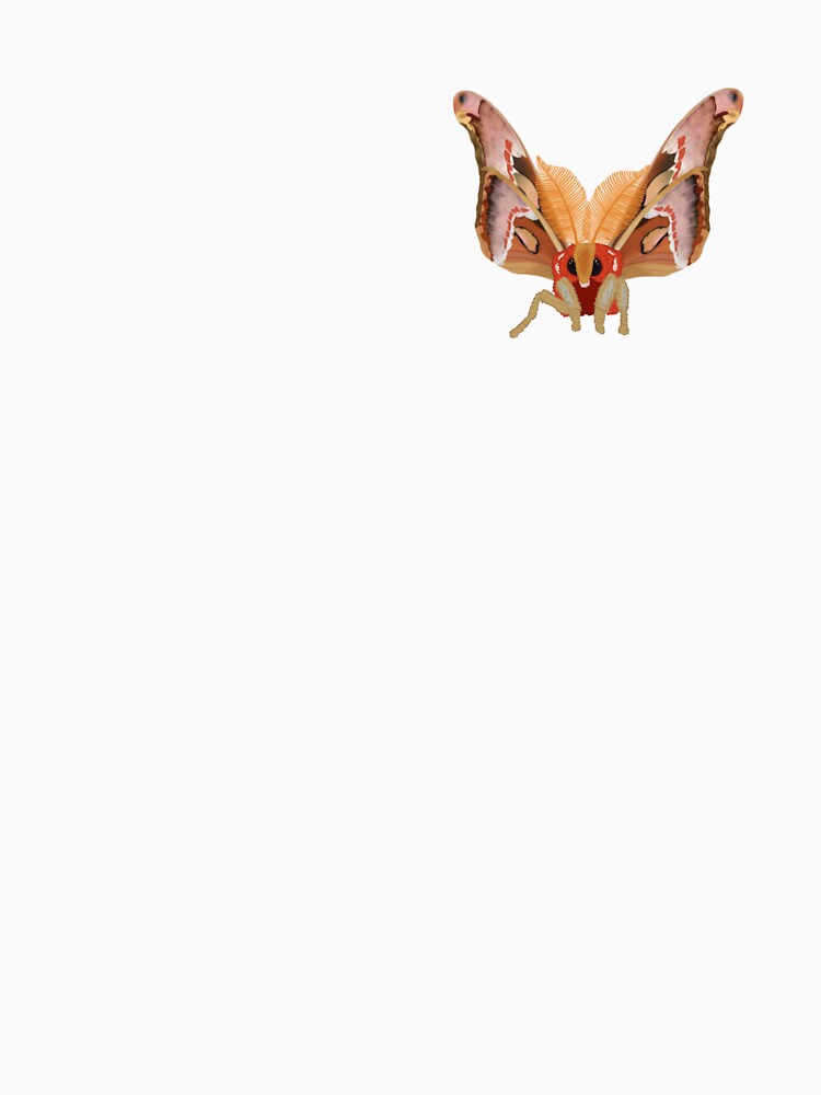 Large Fluffy Atlas Moth (Attacus atlas) Digital Drawing by EnchantedMoths