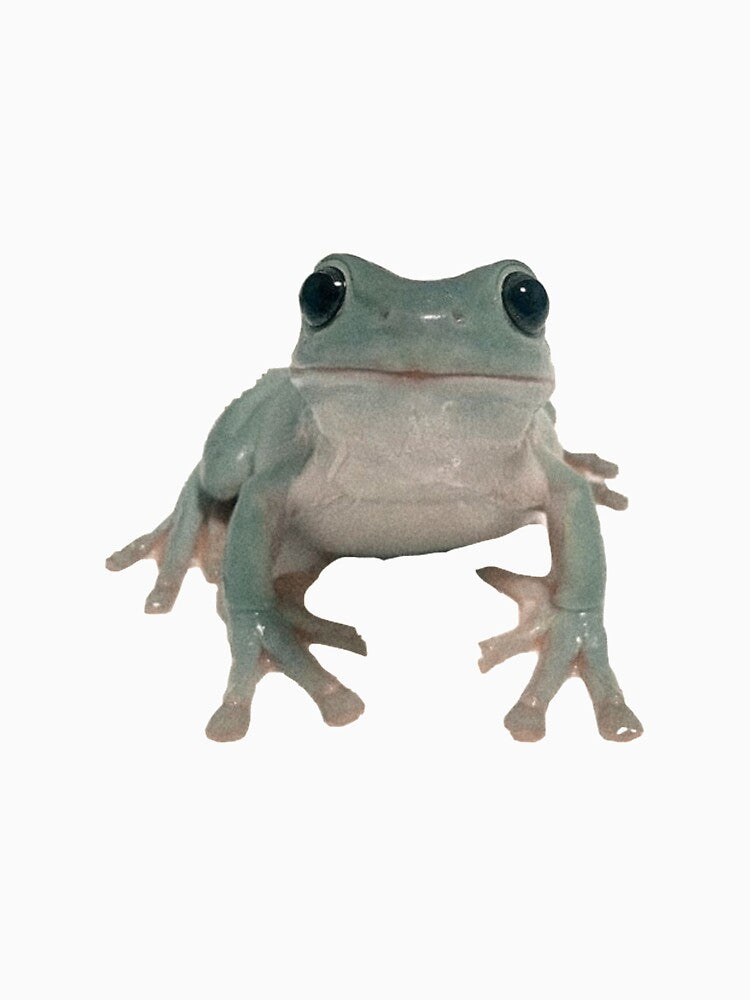 frog by savrh