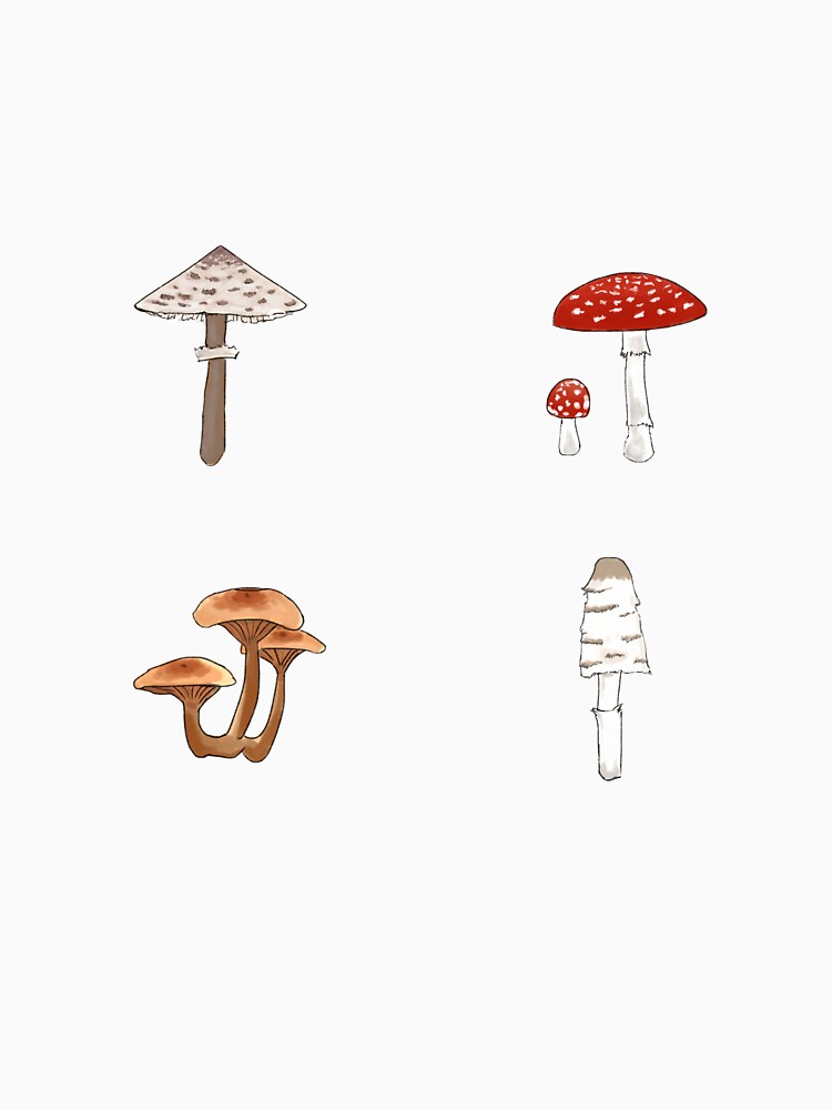 Mushrooms by pine-fresh