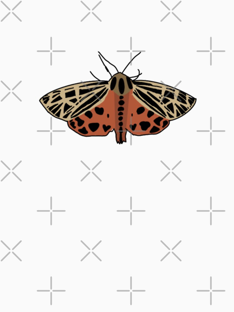 Moth drawing by BlueFireFerrets