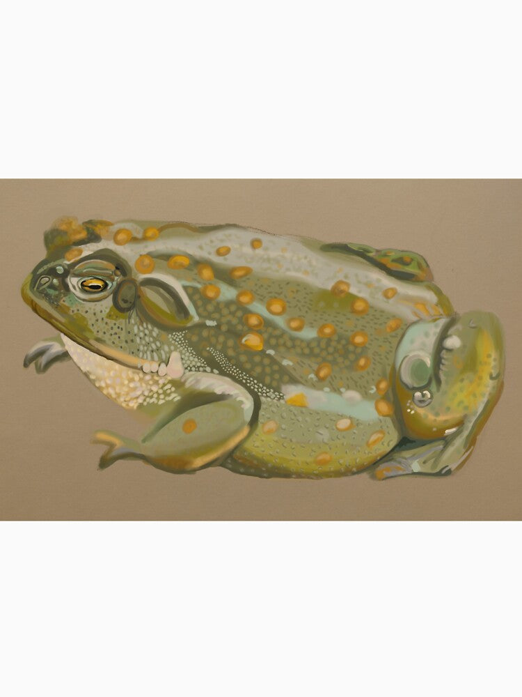 Toad No 1 by stillraining