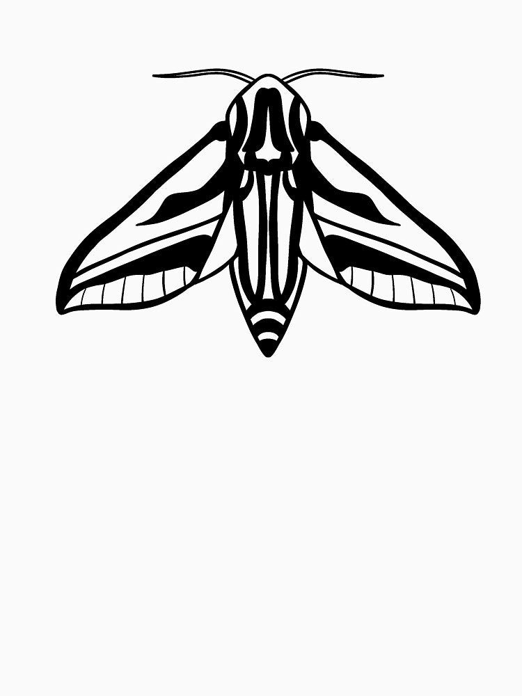 Proper Moth Sketch by Shayla-Michelle
