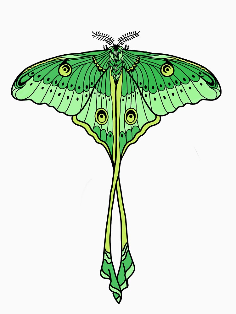 Luna Moth by Sheletor
