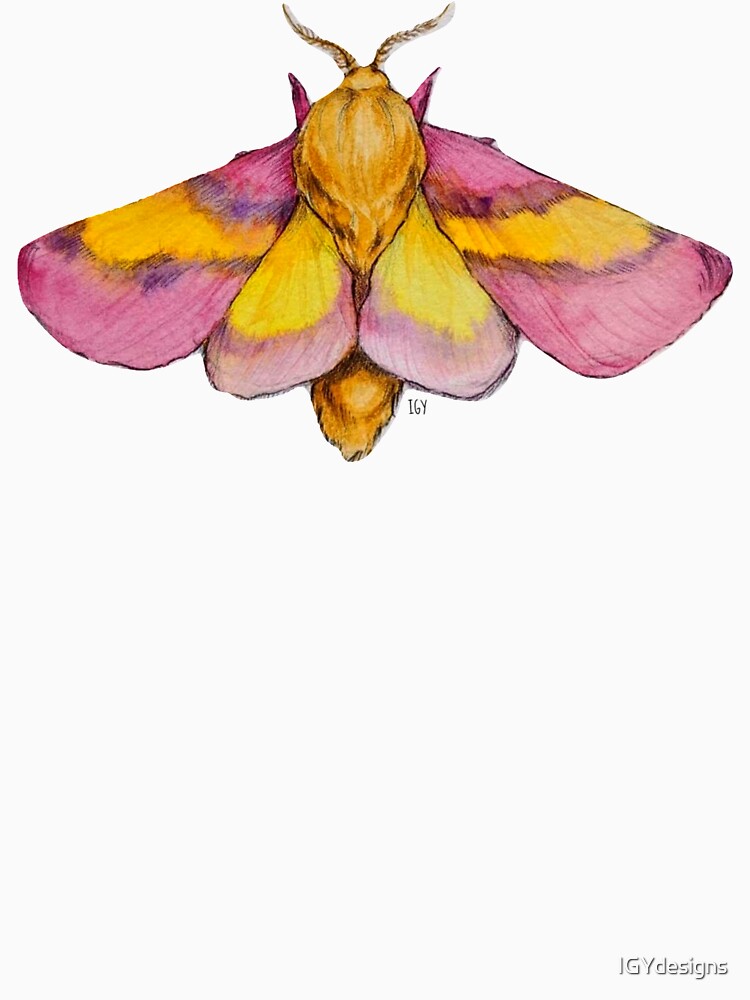 Rosy Maple Moth by IGYdesigns