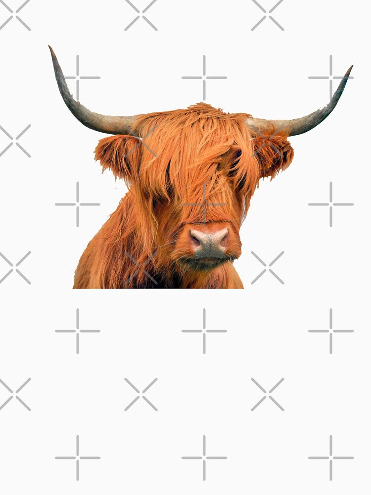 Highland Cow by zanbo