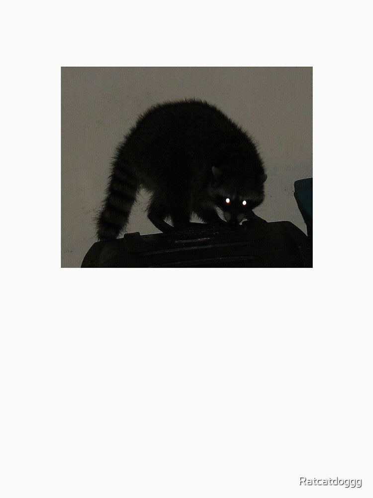 Scary raccoon by Ratcatdoggg