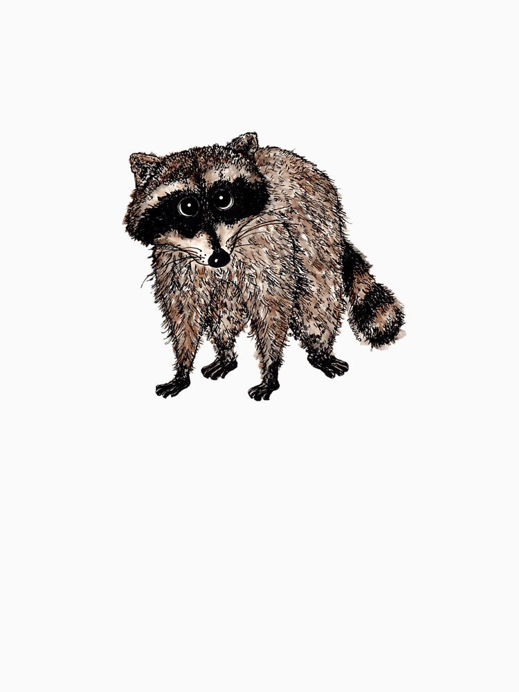 Little Raccoon by Belknap