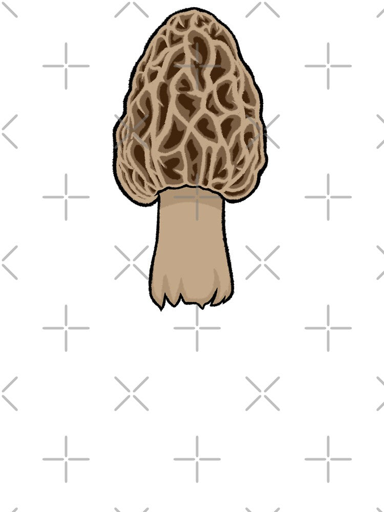 Mushroom | Morel by MSCHVS