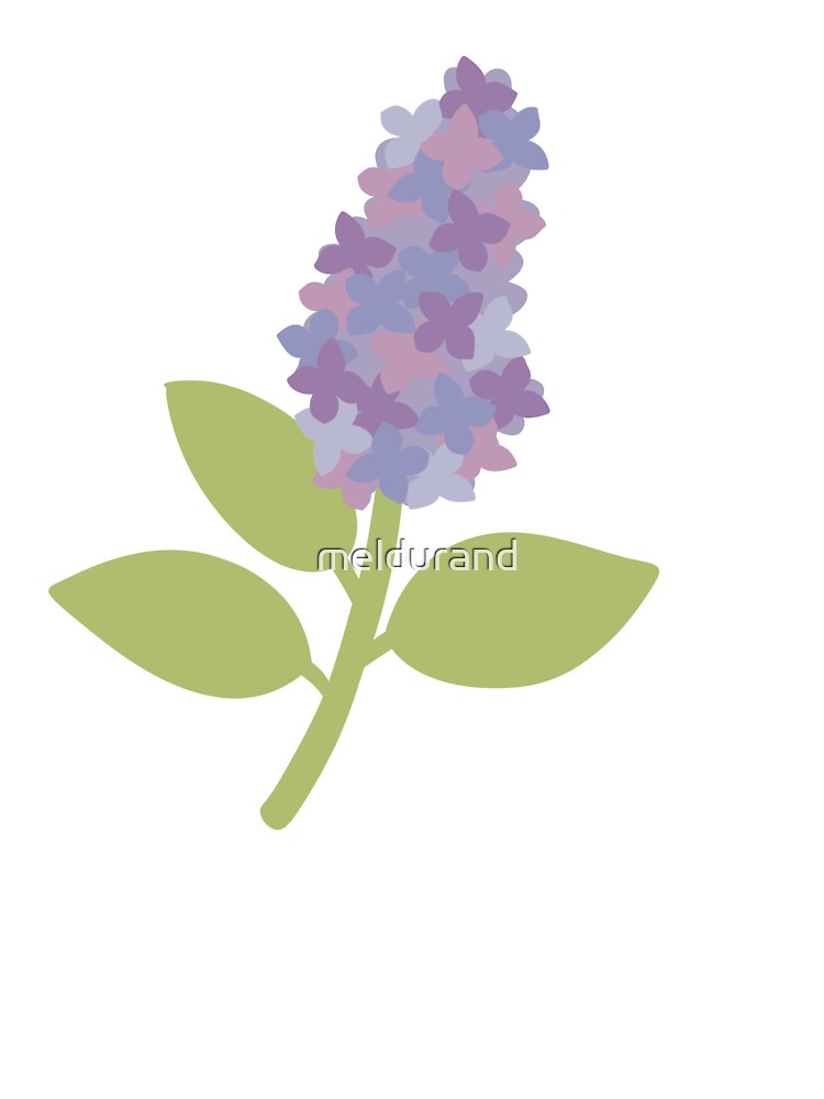 Lavendar Stem by meldurand