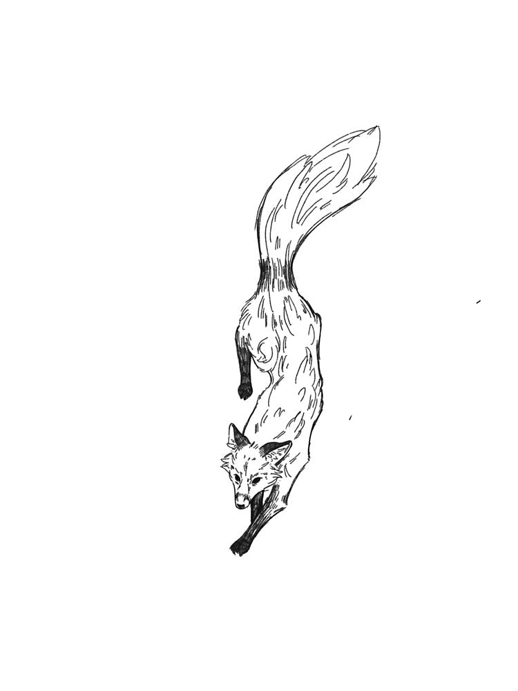Foxtrail by Clay Kelley