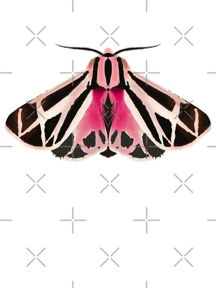 Pink moth by Isabelle-T