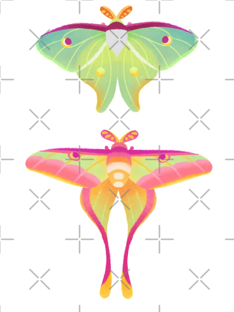 Moth - pastel by pikaole