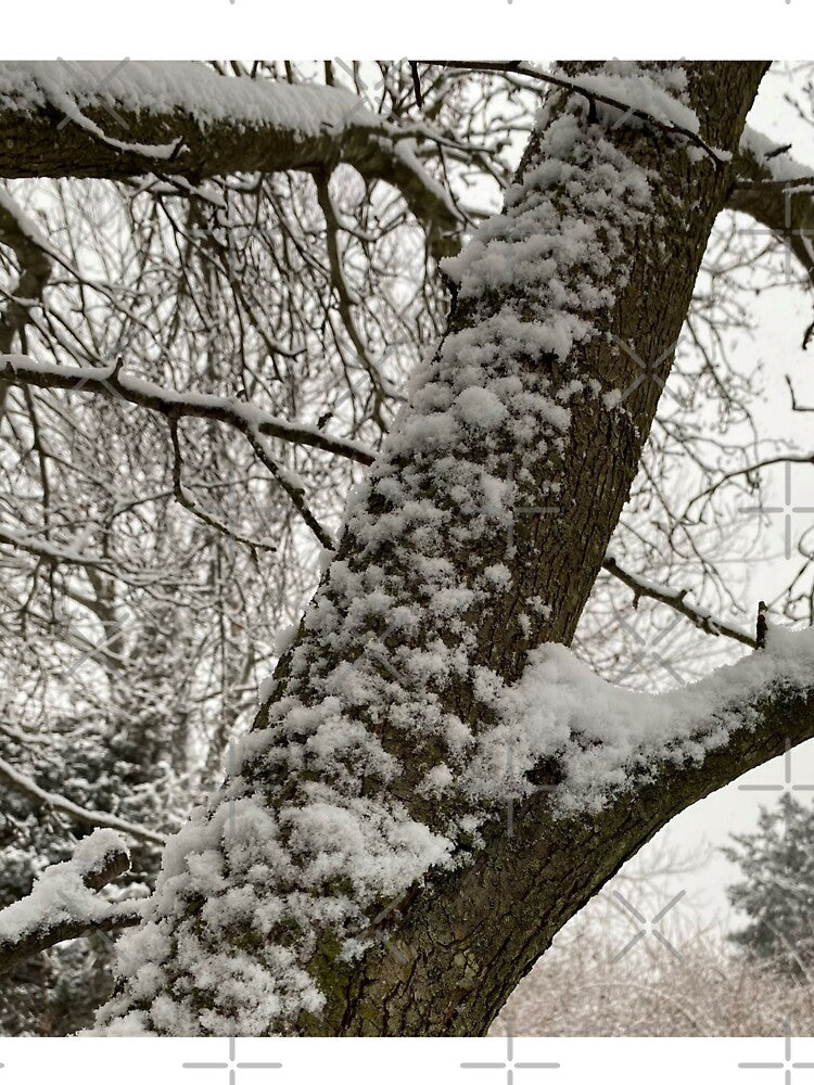 Snow Covered Tree with Branches by CJRPics