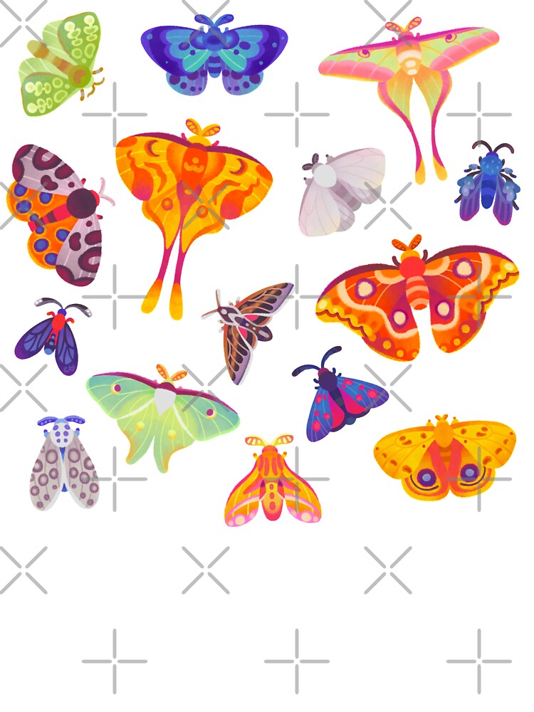 Moth by pikaole