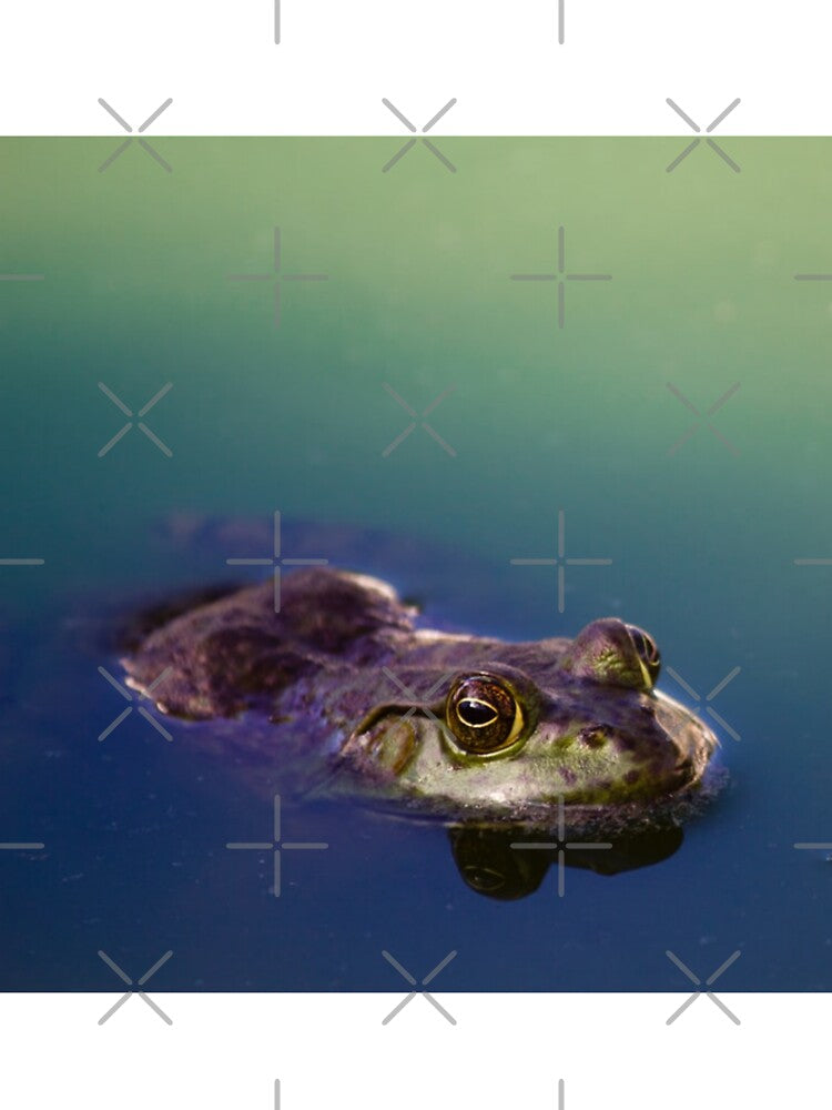 Frog in Water Green Frog Eyes by mwagie
