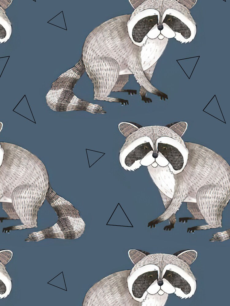 Raccoons With Triangles by SweetPea49