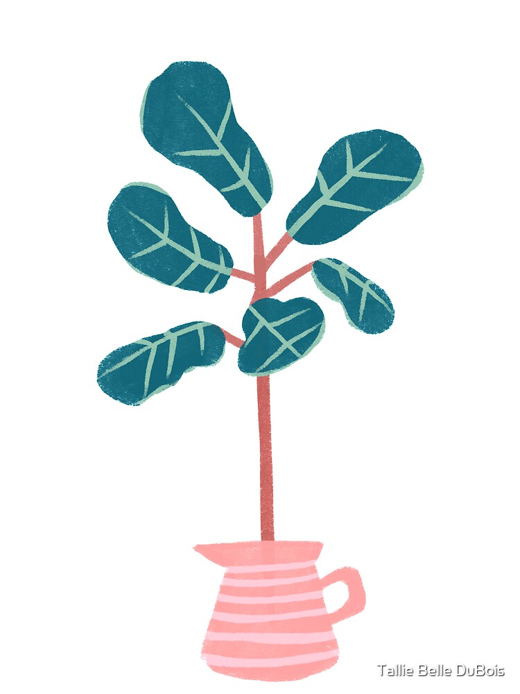 Fiddle Leaf Fig by Tallie Belle DuBois
