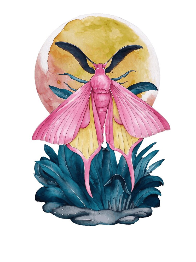 Chinese Moon moth by Tajdi