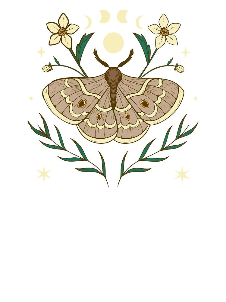 Moth Butterfly by zaher97