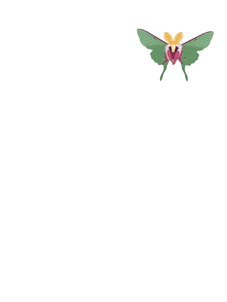Fluffy Cute Luna Moth (Actias luna) by EnchantedMoths