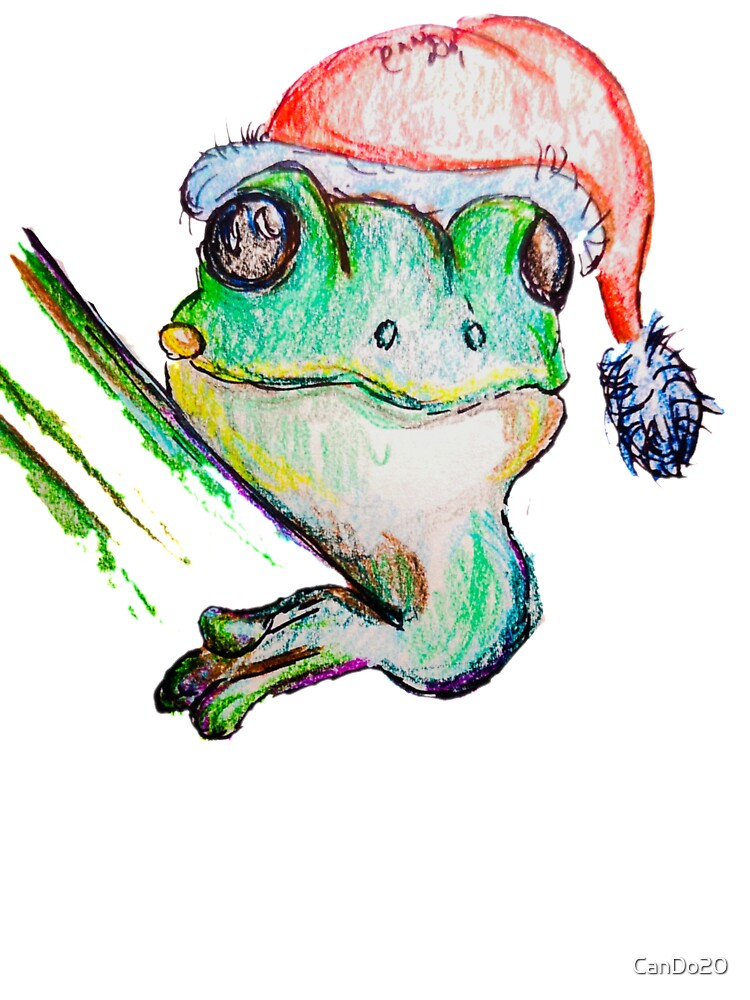 Christmas Frog by CanDo20