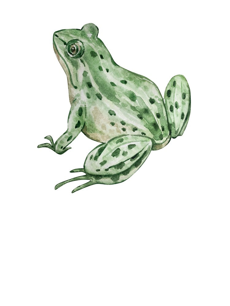 Frog by Luisshopp