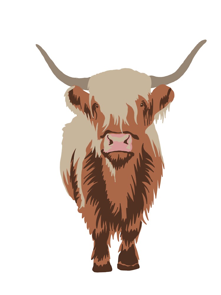 Highland Cow illustration by skyesketches