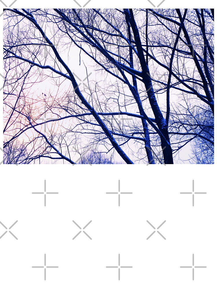 Aesthetic winter tree landscape photo |  winter tree branches art photography by lausn