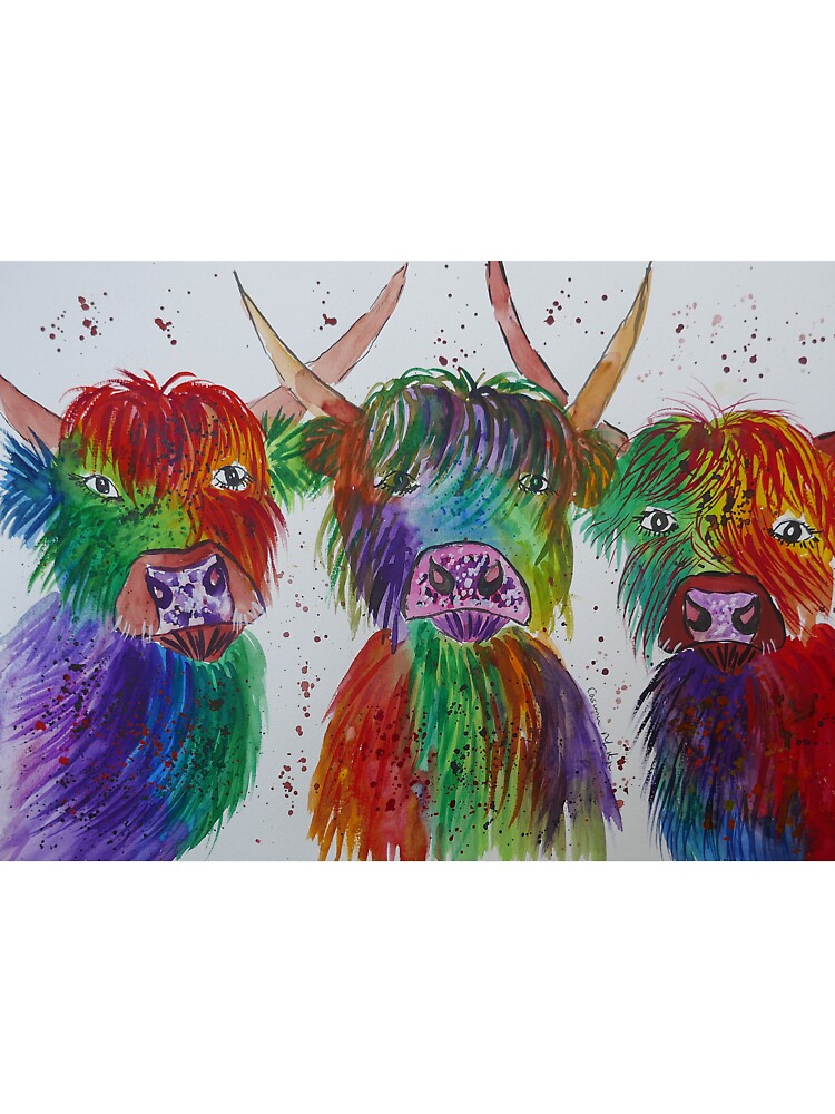 Three Funny Colourful Highland Cows by Casimirasart