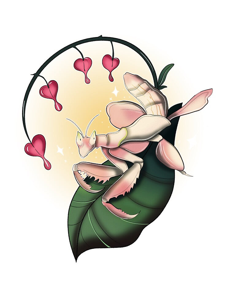 Orchid Mantis by CagedRabbit