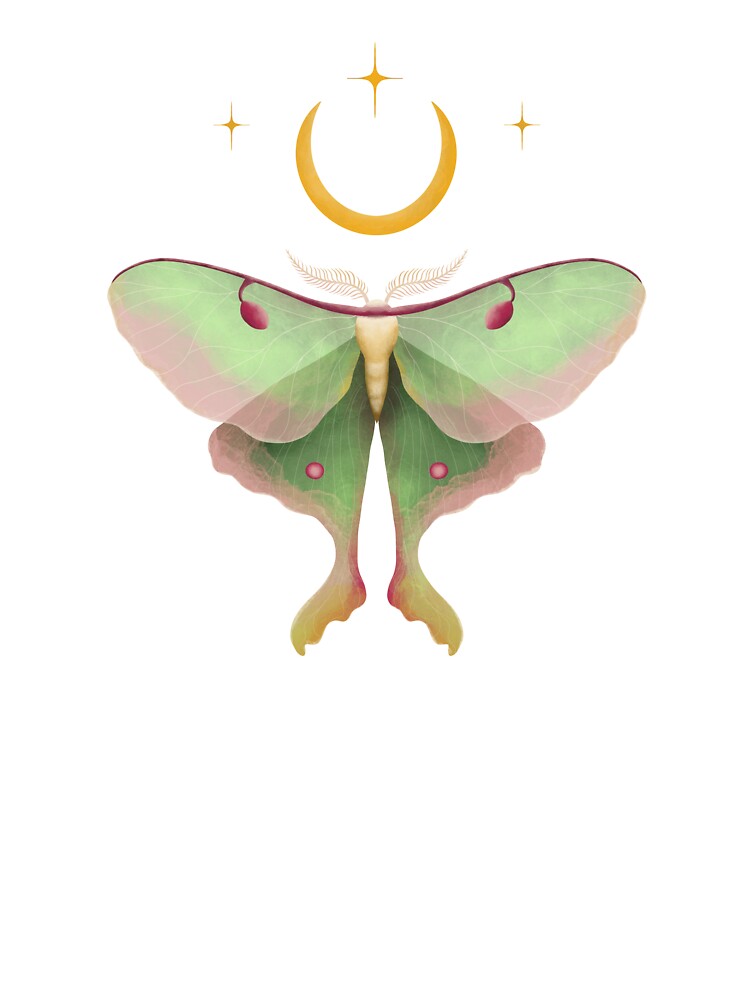 Luna Moth & Crescent Moon by EffyDesign5152