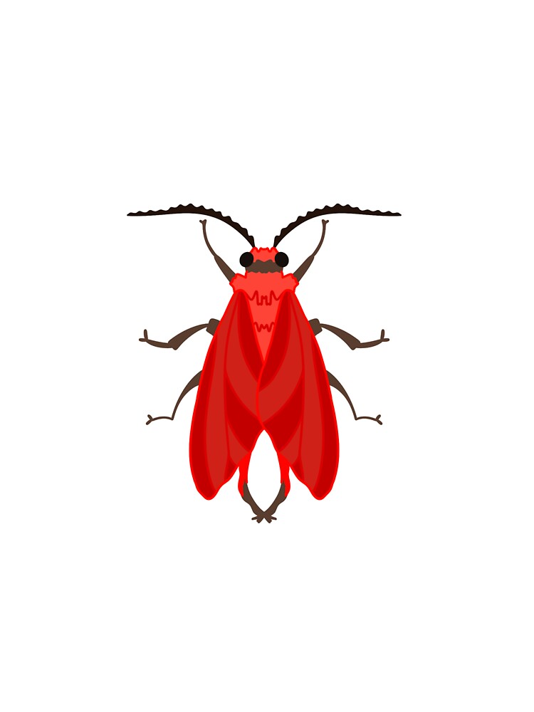 Scarlet Phaudid Moth by esther-hartopp