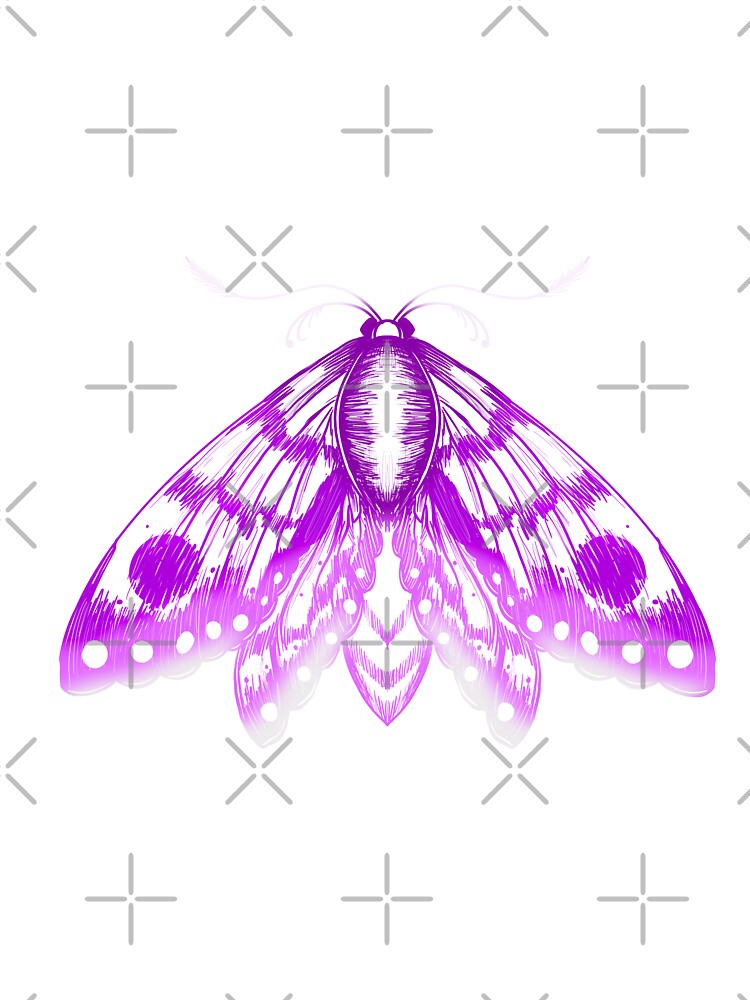 Purple moth with white details by AnneCatriona