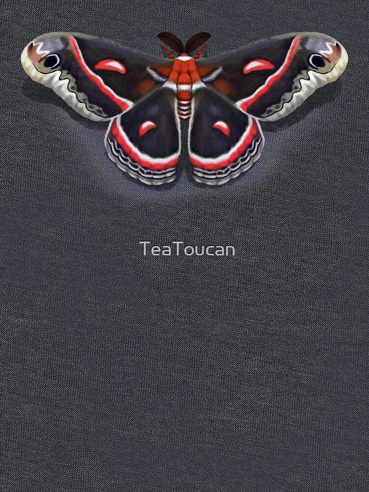 Cecropia Moth by TeaToucan