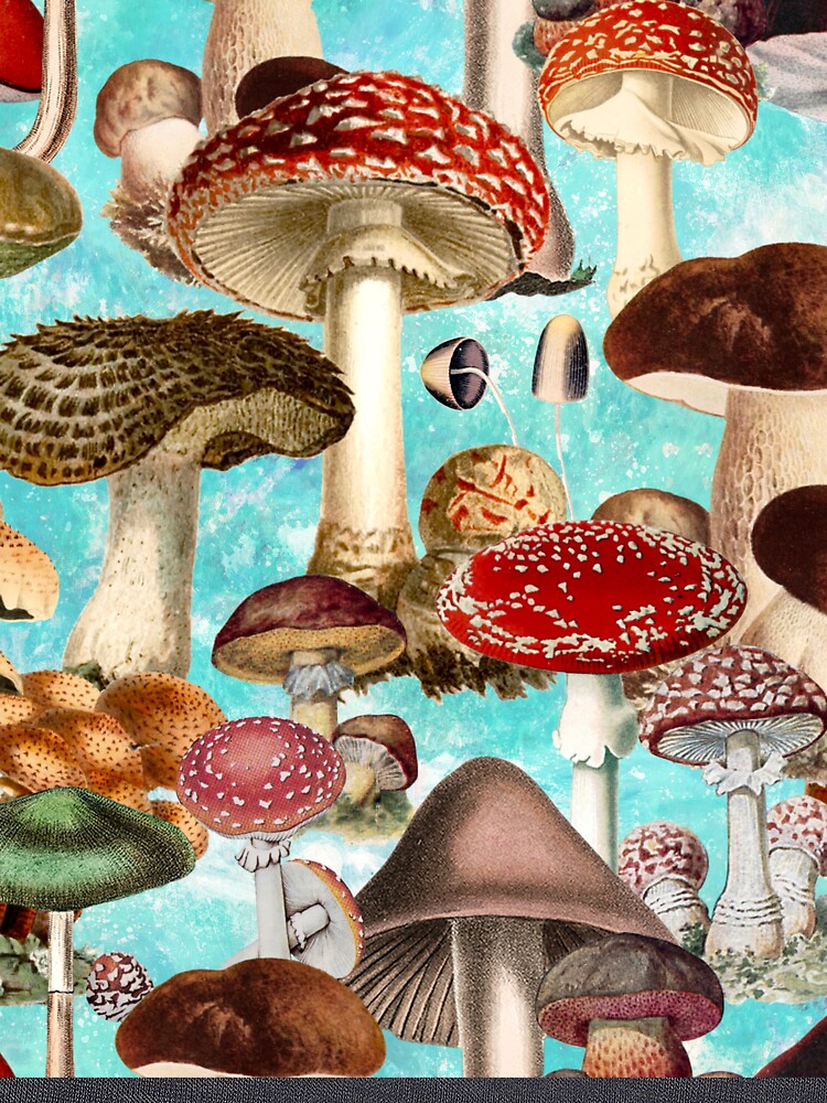 Vintage mushrooms exotic garden, shrooms and fungi, botanical pattern, mushrooms illustration, seamless pattern, turquoise aqua pattern trendy by ZeinabTaha