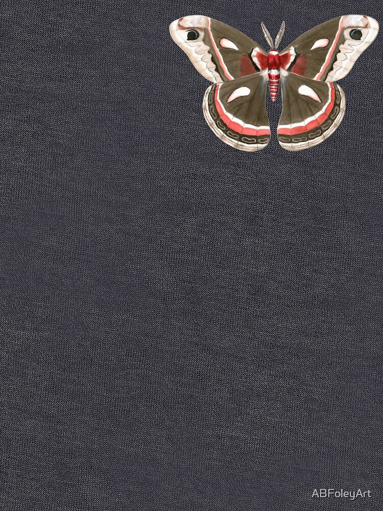 Ceropia Moth Illustration by ABFoleyArt