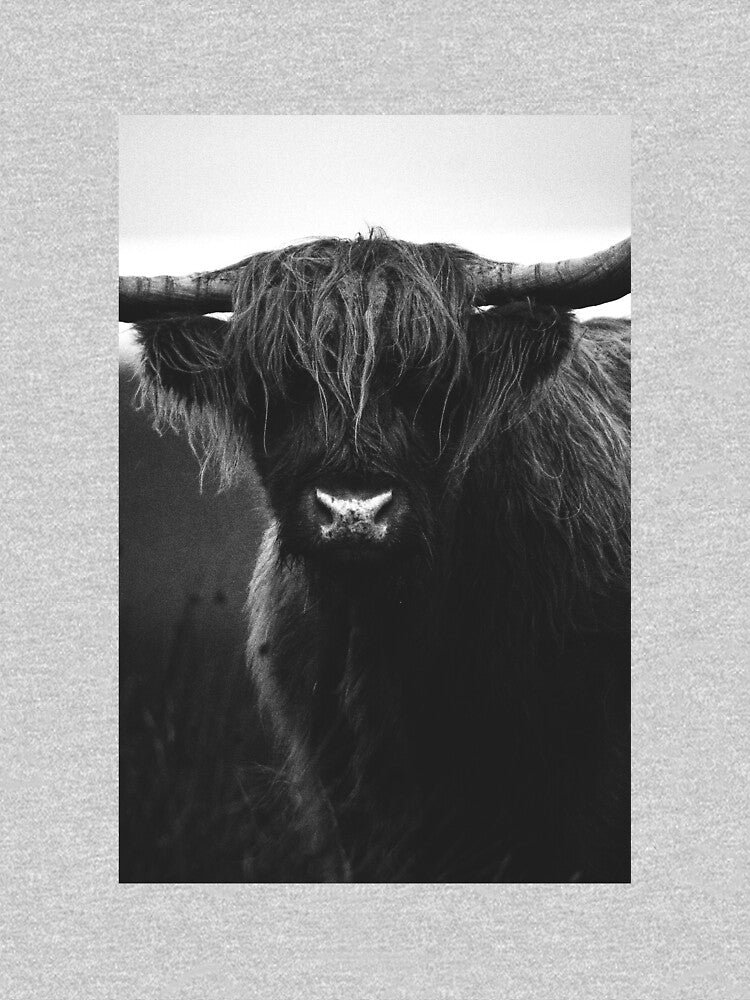 Highland Cow - Black & White Scottish highland calf by anass002