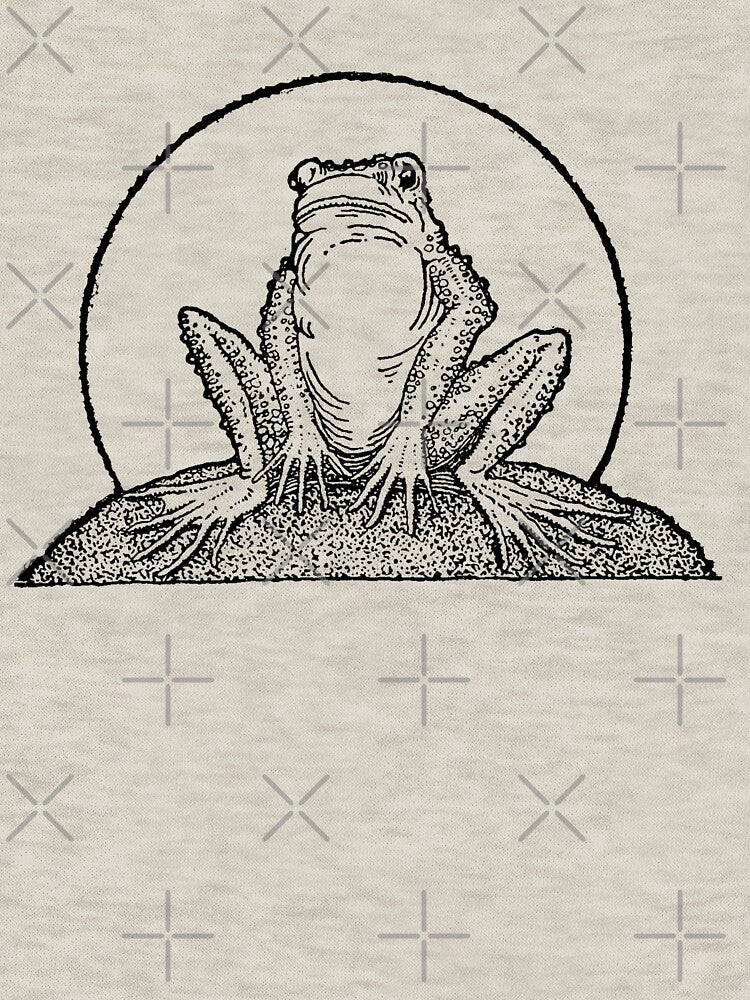 Vintage Cottagecore: Sad Frog Sitting Under Full Moon, Emo Goblincore Style with Meadowcore Woodland Look by MinistryOfFrogs