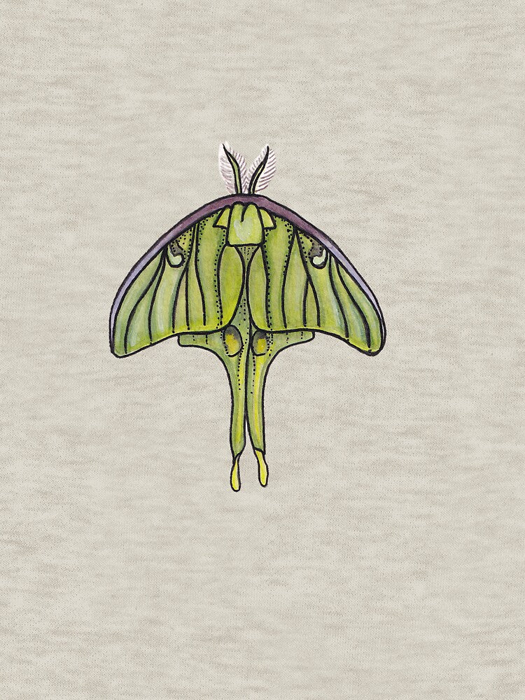 Luna Moth by KCIllustrates