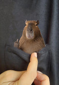 Funny Capybara Shirt - Humor Capybara Hidden Middle Finger Pocket - Capybara