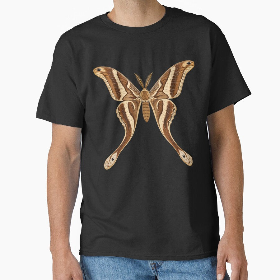 Hercules Moth Coscinocera hercules Anime  Style by Harpagann