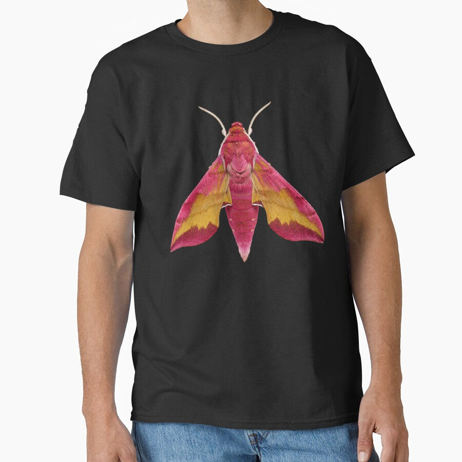 Small Elephant Hawk Moth Deilephila porcellus Cartoon Style by Harpagann