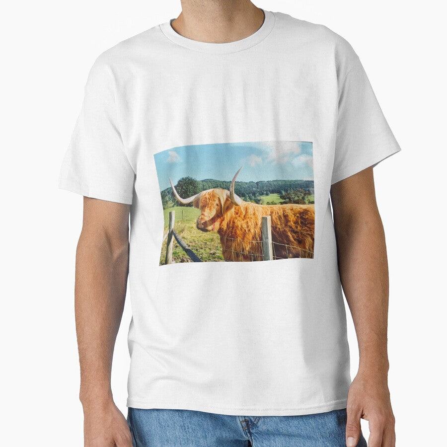Highland cow , Scotland by Photogold Photo Gifts