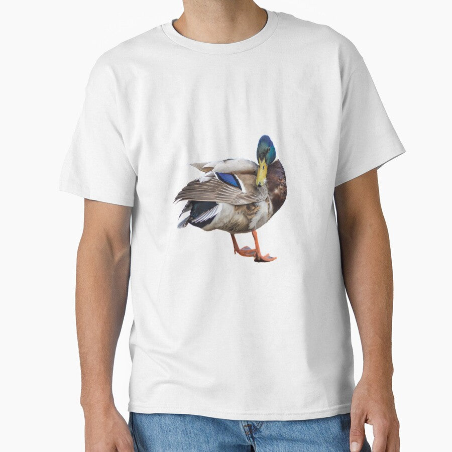 Mallard Duck by Sandwhit