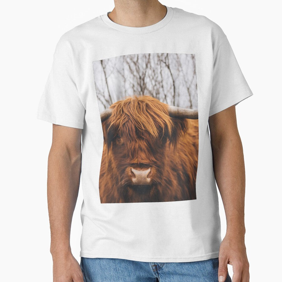 Highland Cow Real Life by AnimalLover4eva